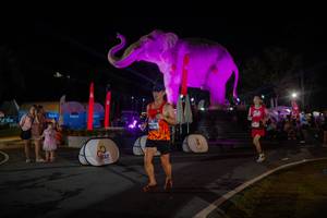 BIB: 
                            <button type="button" onclick="openModal(26552177)" class="btn btn-primary btn-sm float-right btn-popup" data-toggle="modal" data-target=".modal-high-quality">
                        <i class="fas fa-shopping-cart"></i> Add to Cart
                    </button>
                                            <button type="button" onclick="isThisMe(26552177, true)" class="btn btn-success btn-sm float-right btn-popup btn-isme hidden" data-toggle="tooltip" data-placement="bottom" title="นี่คือรูปของคุณใช่ไหม คลิกที่นี่เพื่อเอาเข้าอัลบั้ม">
                        <i class="fas fa-plus"></i> Add to album
                    </button>
                    <button type="button" onclick="isThisMe(26552177, false)" class="btn btn-warning btn-sm float-right btn-popup btn-isnotme hidden">
                        <i class="fas fa-ban"></i> Remove from album
                    </button>